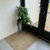 Interface Urban retreat UR301 straw - Afbeelding 3
