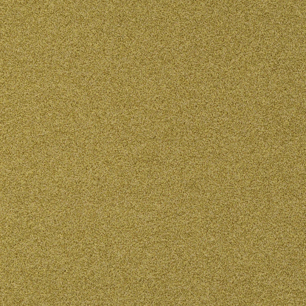 interface-polichrome-stipple-mustard-7569_sq