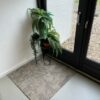 Interface Net effect B603 Driftwood SA - Afbeelding 3