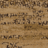 interface-human-nature-hn850-beige-121867_tapijttegel.j_sq