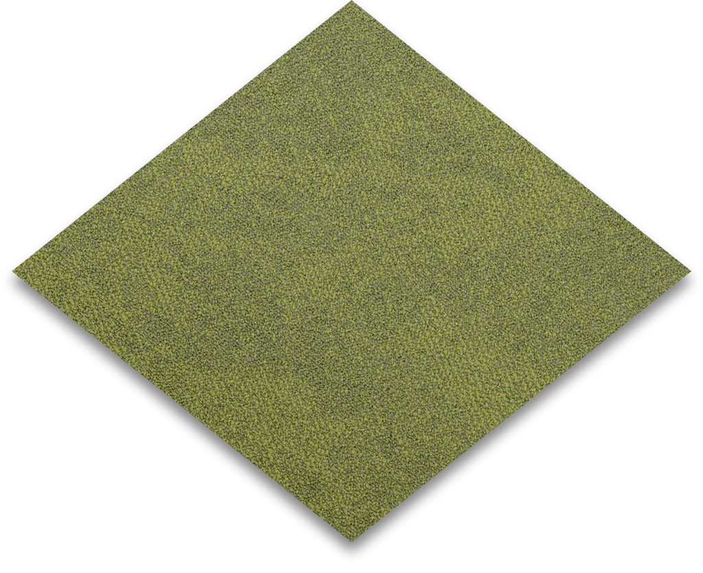 interface-composure-fern-4169070_sa