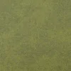 interface-composure-fern-4169070_sa_sq