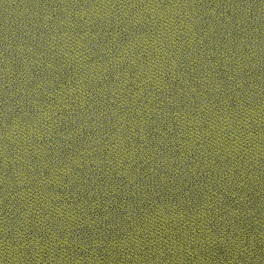 interface-composure-fern-4169070_sa_sq