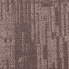 tecsom-evolution-eline-marroni-chocola_135490505-411_sq