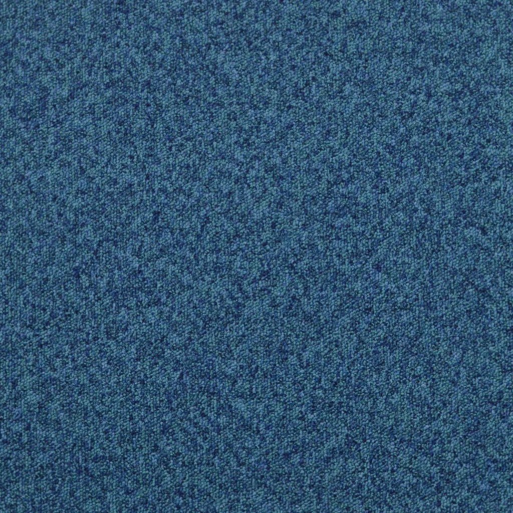 ecsom-2050-blue-014_11240050-24_sq